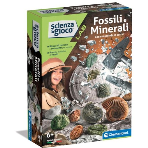 [19371] FOSSILI E MINERALI - POCKET