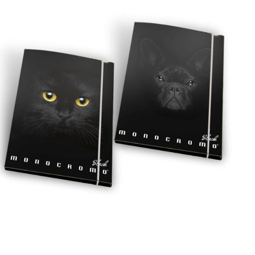 [02308593L] CF6 CARTELLA 3LEMBI MONO BLACK