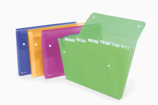 [2102032] ICE ARCHIV.SOFFIETTO6TASCHE ASS