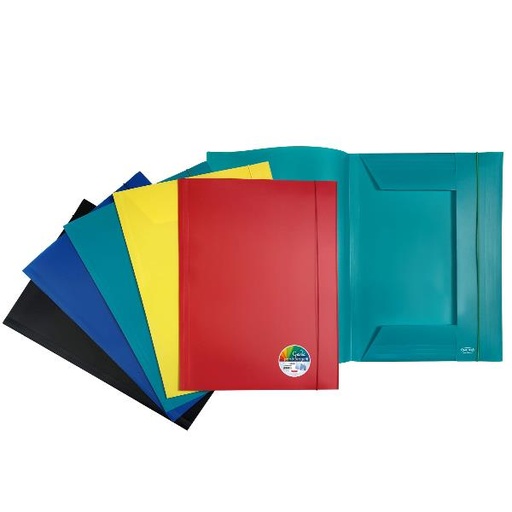 [P0000390] CF12 CARTELLA 3 LEMBI PP A3 ASSORTI