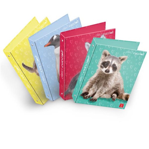 [023302630] CF5 RACCOGLITORI AD ANELLI A4 27X32