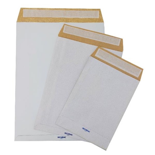 [0941] CF100 SACCHETTI SECURSAC 23X33