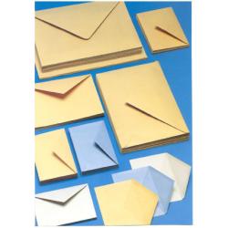[180A] CF250 BUSTE GIALLE 25X35.3 GR100