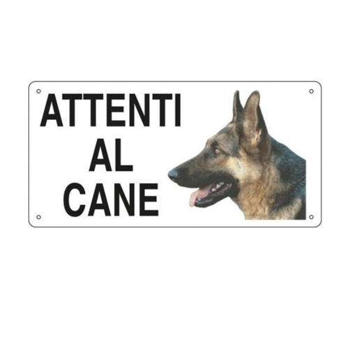 [591EF6226P] SEGN. ALLUM 300X200MM ATTENTI CA