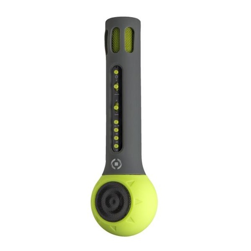 [FESTIVALGN] MICROPHONE WITH SPEAKER 3W GREEN