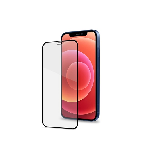 [FULLGLASS1003BK] FULL GLASS IPHONE 12 MINI BLACK