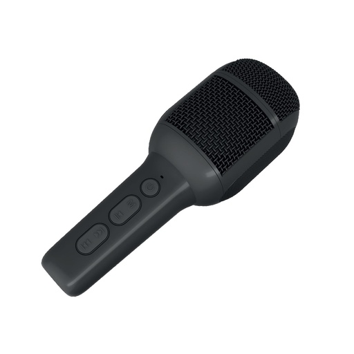 [KIDSFESTIVAL2BK] MICR WITH VOICE CONTROL 2BK