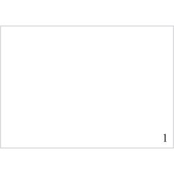 [PCL3-MCG] ETICHETTE SRA3 320X450MM 100FF