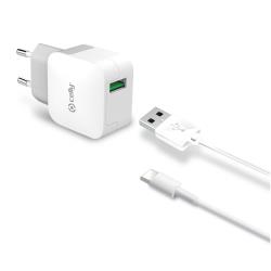 [TCUSBTYPEC] KIT TC USB 2.4A/12W+UB-C CABLE WH